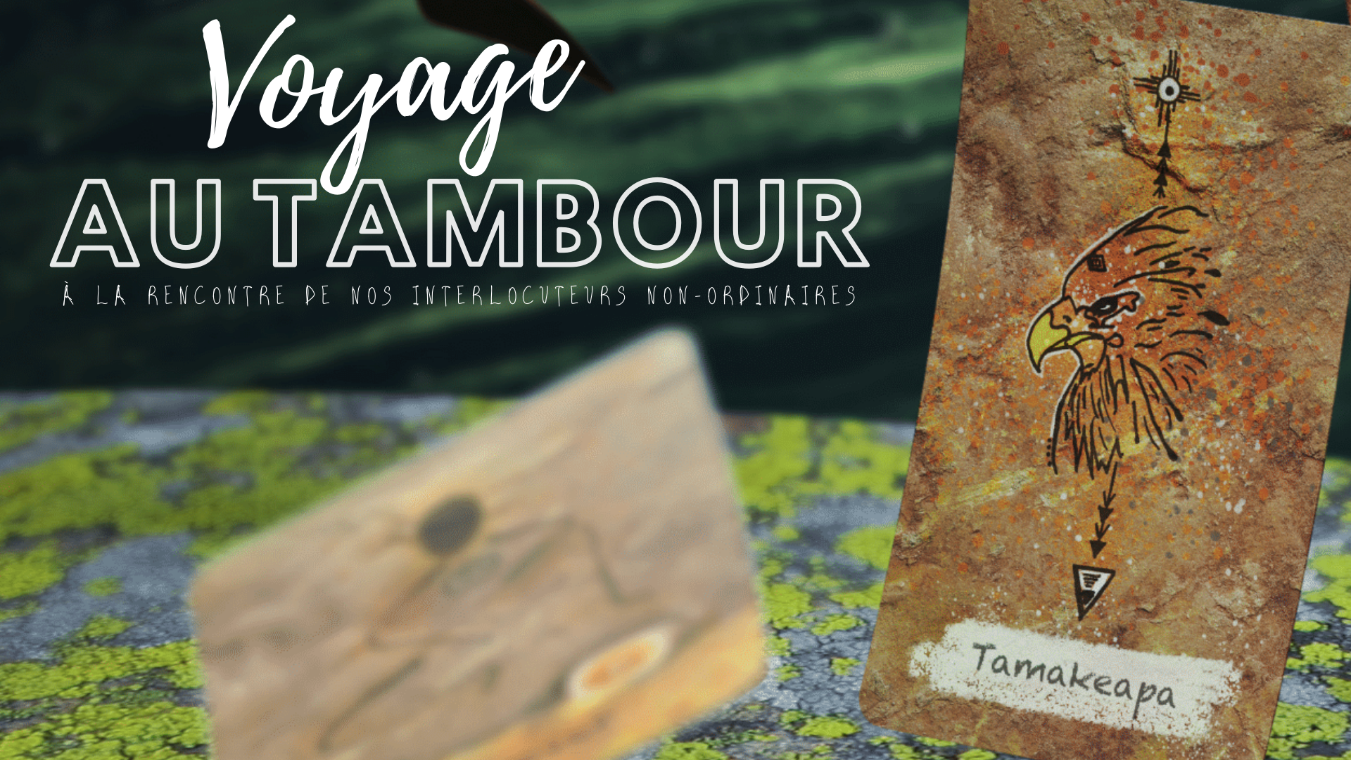 Le Voyage au tambour : une expérience chamanique